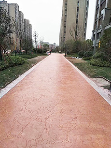 ������ƺ����