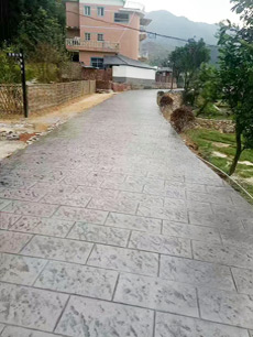 ������ƺϵ��