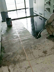 �h�����o늵�ƺ